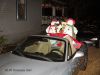IMG 1026